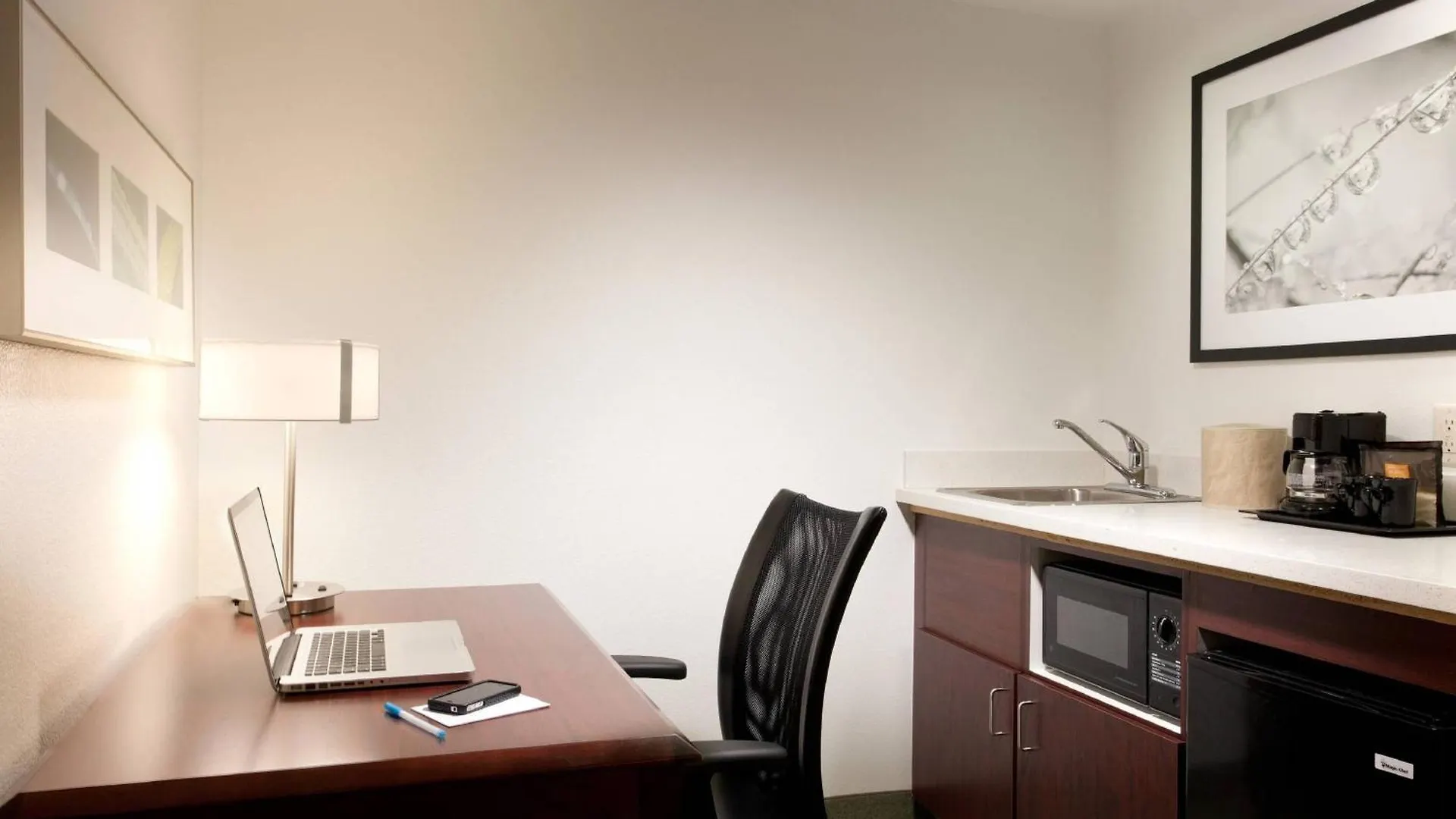 Springhill Suites By Marriott Norfolk Virginia Beach